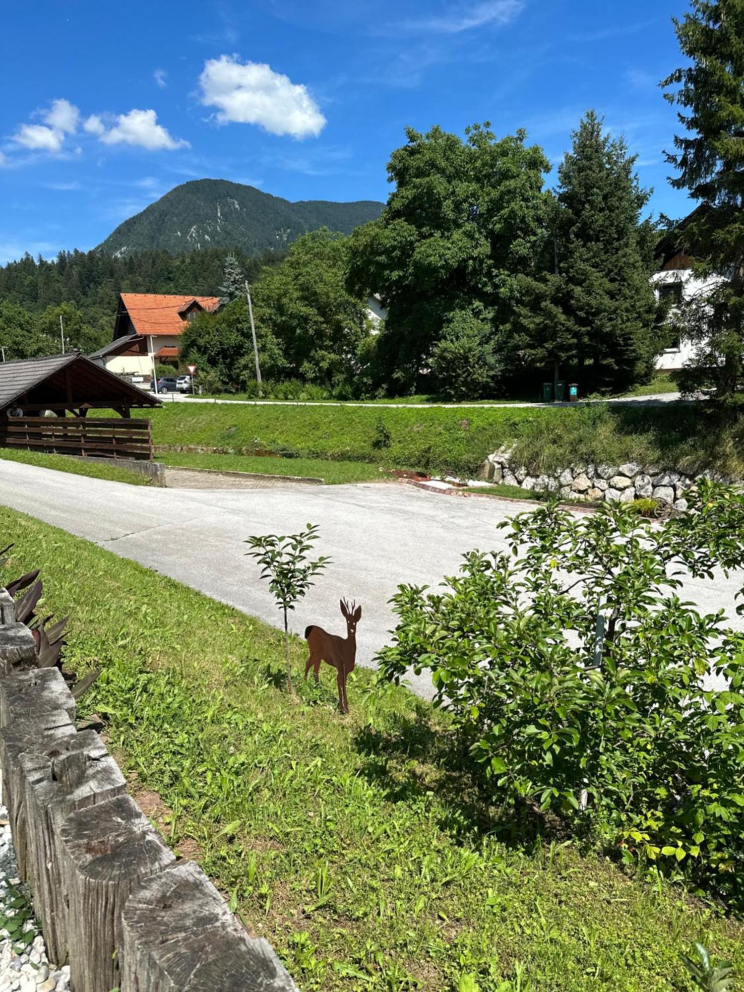 Ferienwohnung Hisa Sreco Begunje Exterior foto